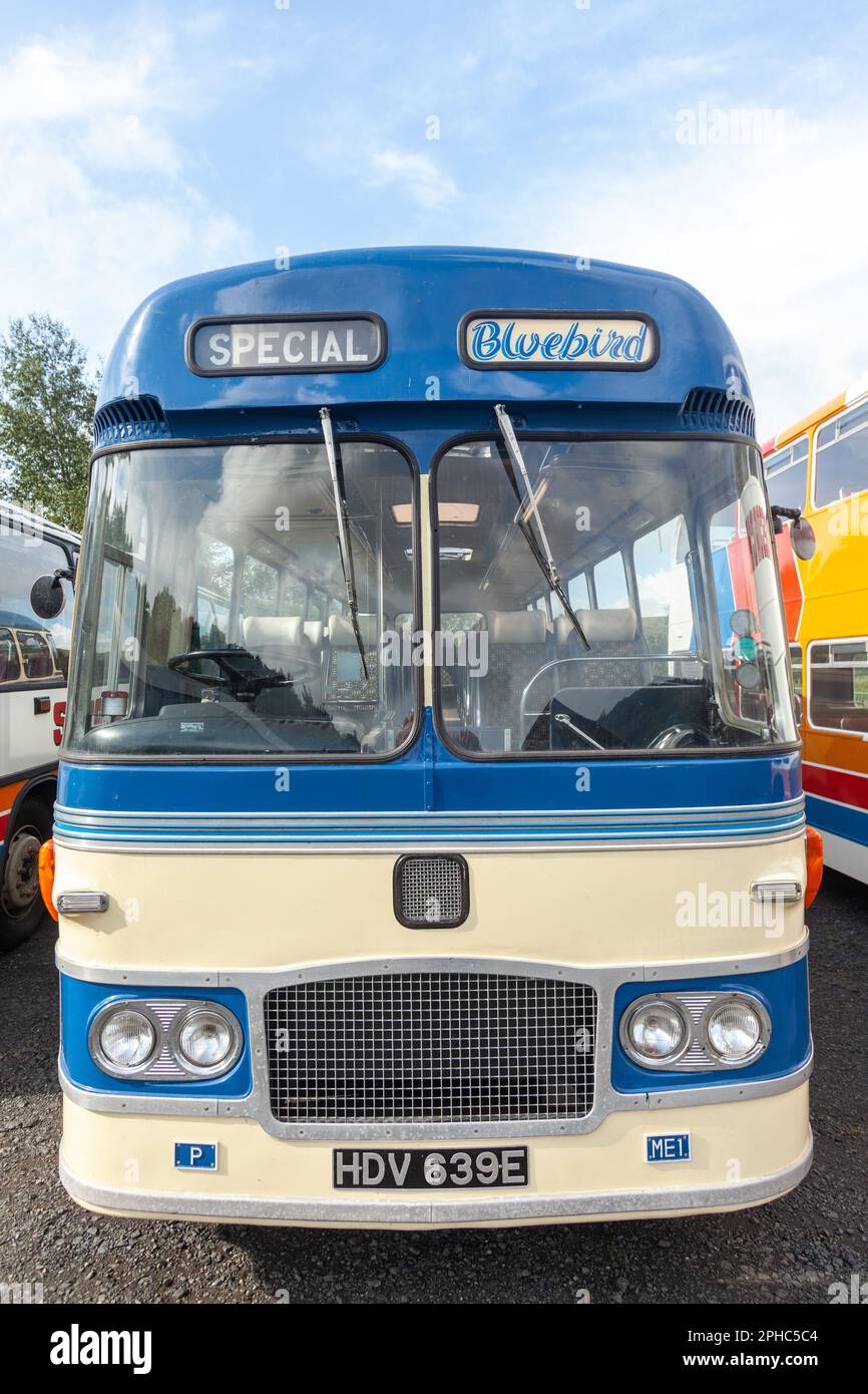 Nahaufnahme eines Vintage Bluebird Excursion Bus aus den 1950er Jahren Stockfoto