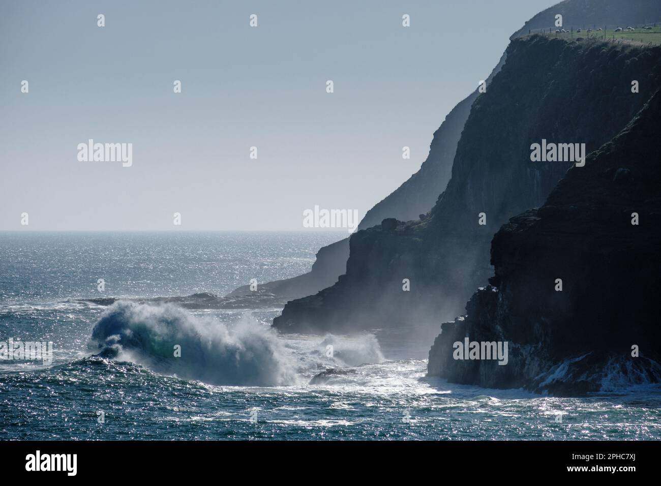 Ein stürmisches Meer an der wilden Küste der Curio Bay in den Catlins, South Island, Neuseeland Stockfoto