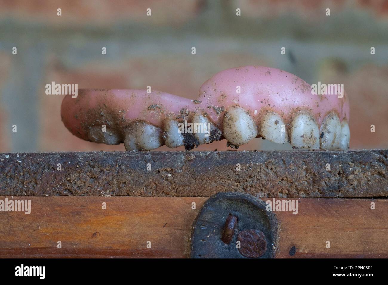 Alte verworfene falsche Zähne, die jahrelang im Dorfgarten zala County ungarn begraben wurden Stockfoto