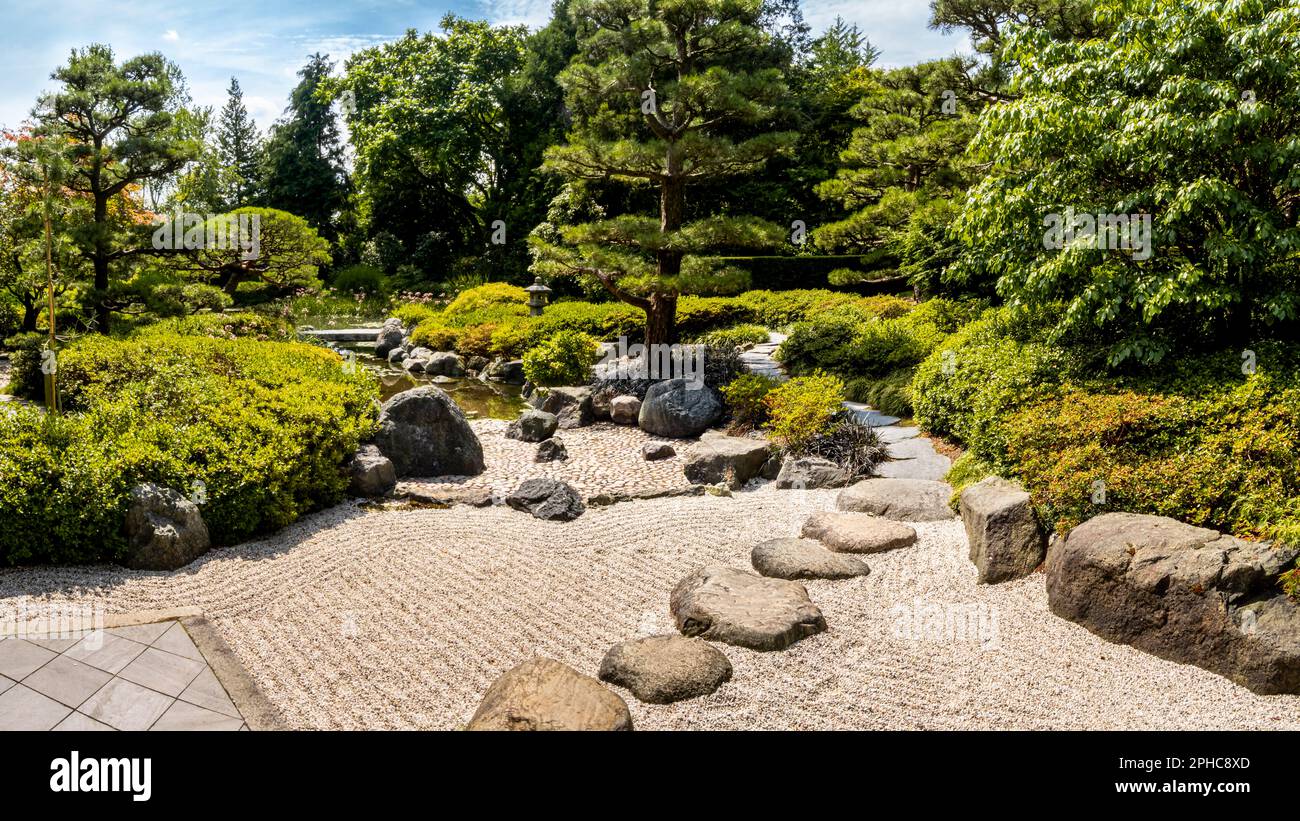 Panoramablick auf den ruhigen japanischen Garten im Loki-Schmidt-Garten, Hamburg, mit einem ruhigen Teich umgeben von gepflegten Bäumen. Stockfoto