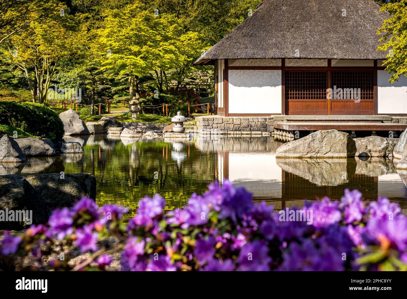 Japanisches Teehaus mit Strohdach an einem ruhigen Teich im öffentlichen Park Planten un Blomen in Hamburg, mit violetten Blumen im Vordergrund. Stockfoto