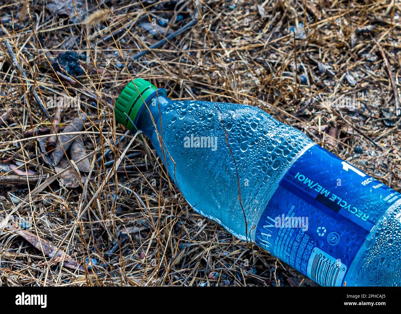 Schmutzige Umgebung. Eine Plastikflasche, die auf das Gras geworfen wird, verschmutzt und verstreut die Natur und die natürliche Umgebung. Pech für die Natur. Stockfoto