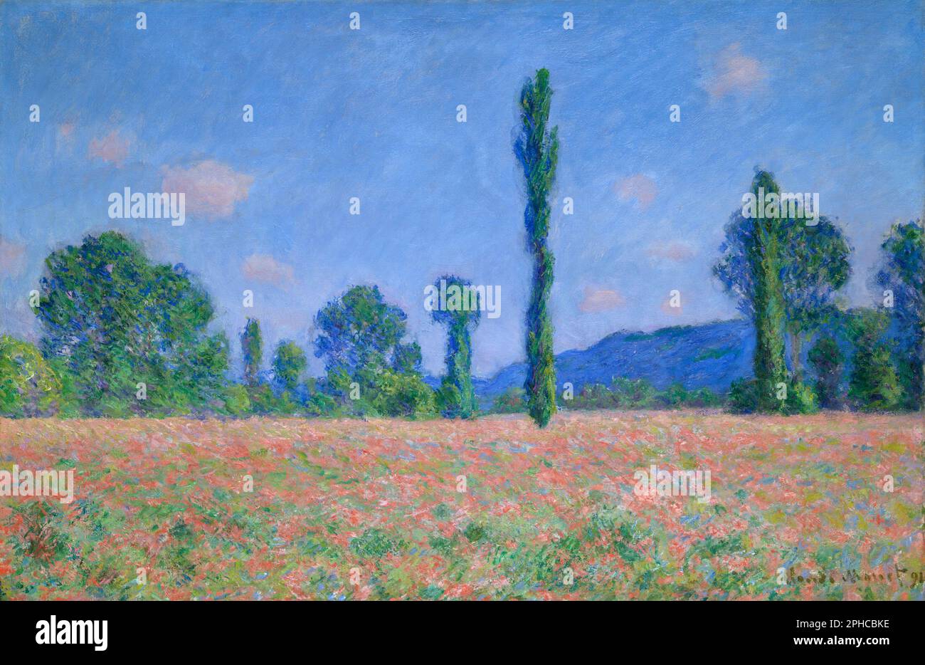 Poppy Field (Giverny). Claude Monet. 1890-1891. Stockfoto