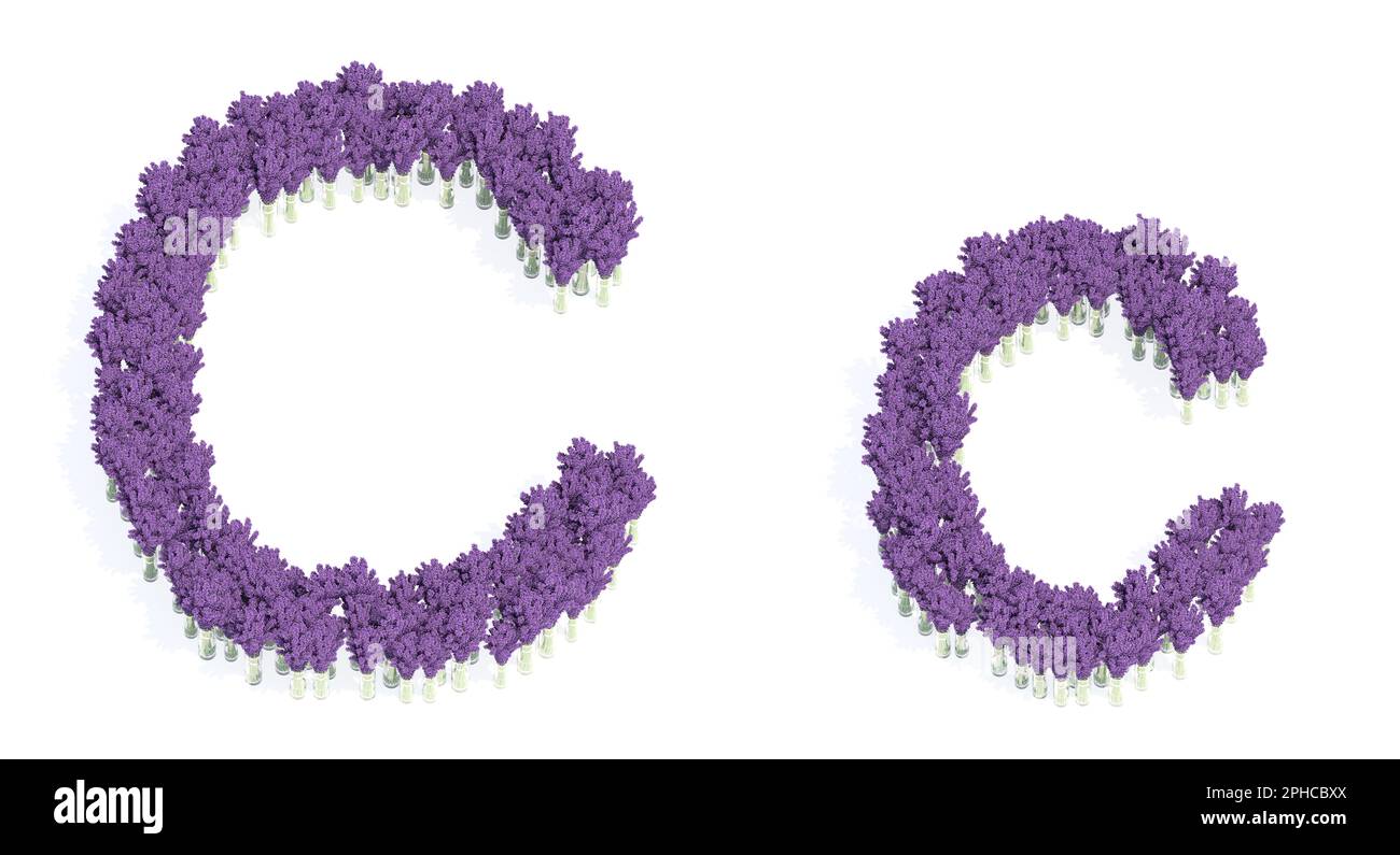 Konzept oder konzeptionelles Set wunderschöner lupiner Blumensträuße, die die Schriftart C. 3D-Illustration Metapher für Bildung, Design und Dekoration, rom bilden Stockfoto