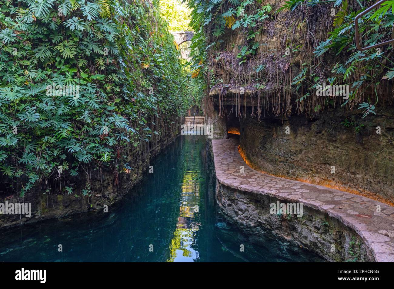 Cenote von Mucuyche bei Merida, Yucatan, Mexiko. Stockfoto