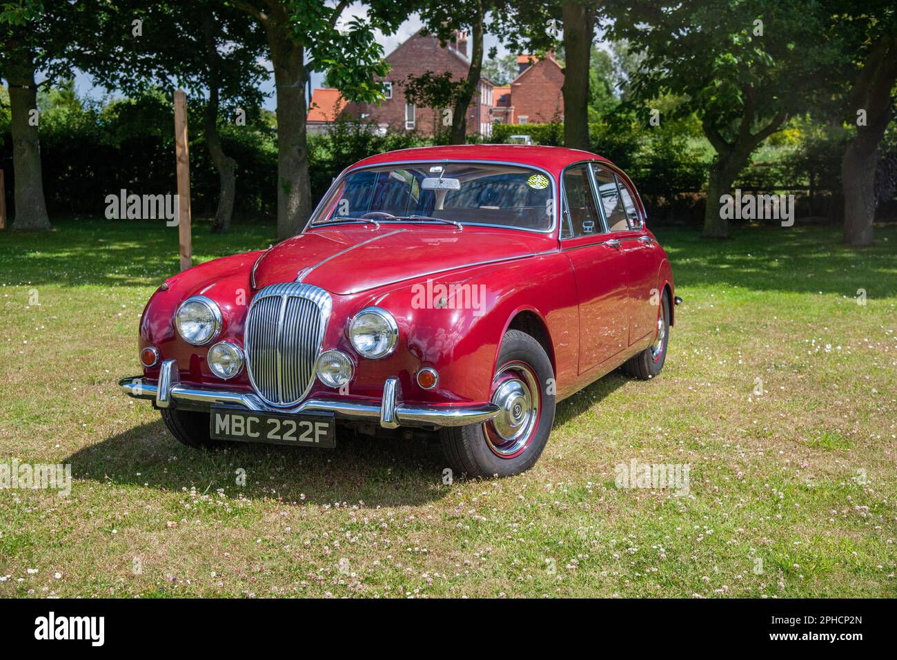 Die klassische Daimler 250 V8 Limousine parkt an einem hellen Sommertag in einer grünen Landschaft Stockfoto