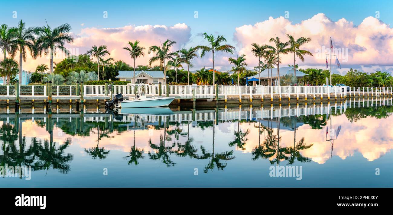 Tropische Landschaft mit Palmen, die sich bei Sonnenaufgang in einem Kanal spiegeln, in Key West, Florida. Stockfoto