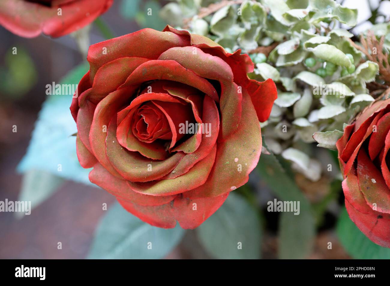 Verwitterte künstliche rote Rose auf einem vergessenen Grab Stockfoto