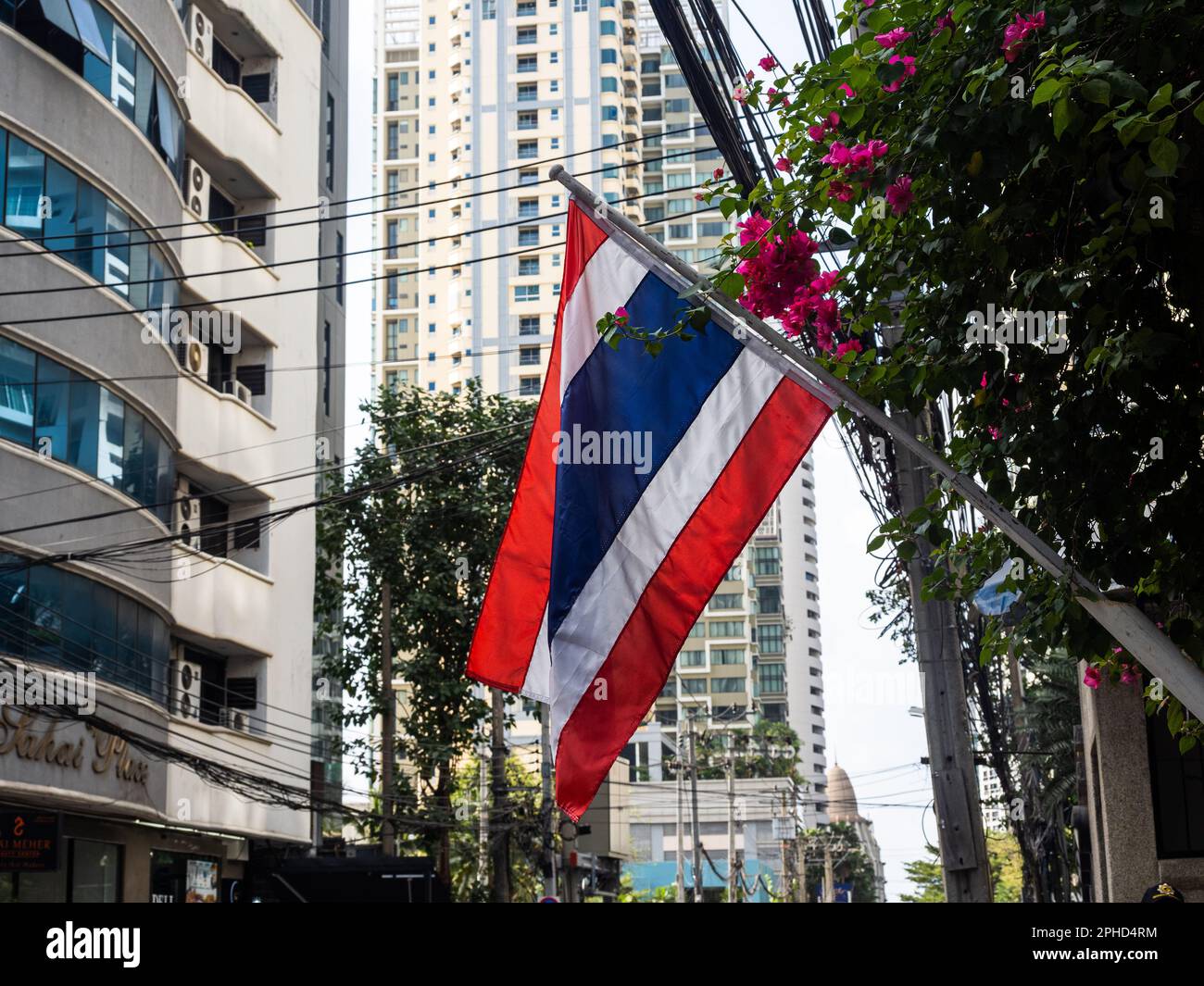 Inmitten des üppigen Grüns der Straßen Bangkoks flattert die thailändische Flagge stolz in der Brise. Als nationales Symbol des Landes dient es als Erinnerung Stockfoto