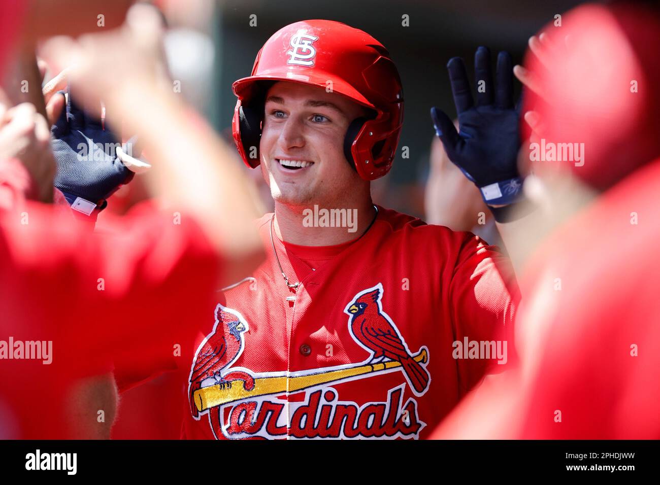 27. März 2023; Sarasota FL USA; St. Louis Cardinals Infielder Jacob Burchberger (11) wird nach seiner Homerge während eines MLB-Spriars beim Dugout gratuliert Stockfoto