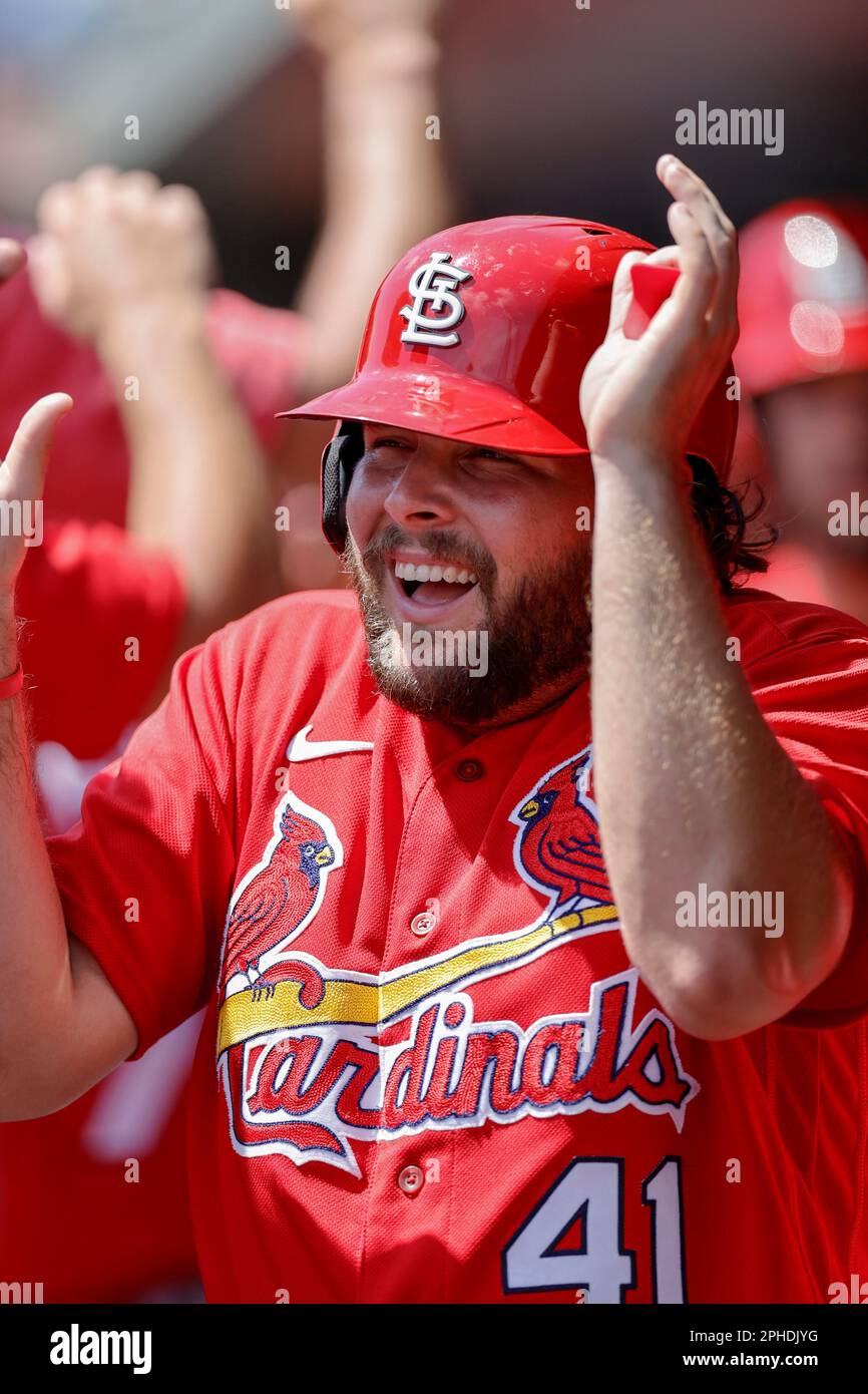 27. März 2023; Sarasota FL USA; St. Louis Cardinals Rechtspfeldspieler Alec Burleson (41) wird im Dugout mit dem Infielder Jacob Buchberger (11) gefeiert Stockfoto