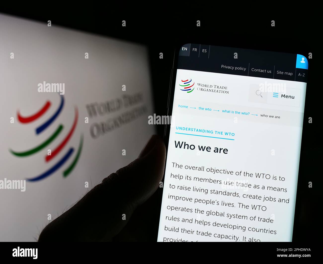 Person, die ein Mobiltelefon mit einer Webseite der Welthandelsorganisation (WTO) auf dem Bildschirm vor dem Logo hält. Konzentrieren Sie sich auf die Mitte des Telefondisplays. Stockfoto Person, die ein Mobiltelefon mit einer Webseite der Welthandelsorganisation (WTO) auf dem Bildschirm vor dem Logo hält. Konzentrieren Sie sich auf die Mitte des Telefondisplays. Stockfoto