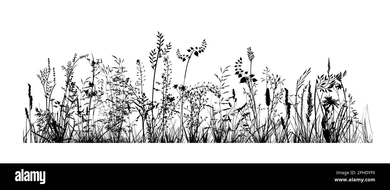 Schwarze Silhouetten aus Gras, Blumen und Kräutern isoliert auf weißem Hintergrund. Handgezeichnete Skizzenblumen. Vektorgrafik Stock Vektor