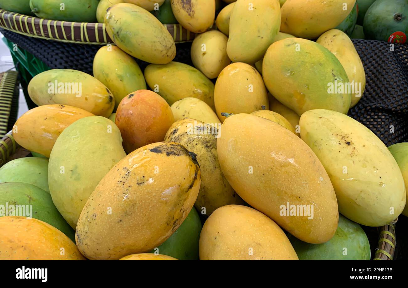 Ein Haufen frischer, farbenfroher tropischer Mangos im Supermarkt Stockfoto