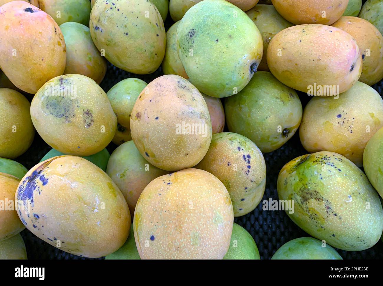 Ein Haufen frischer, farbenfroher tropischer Mangos im Supermarkt Stockfoto