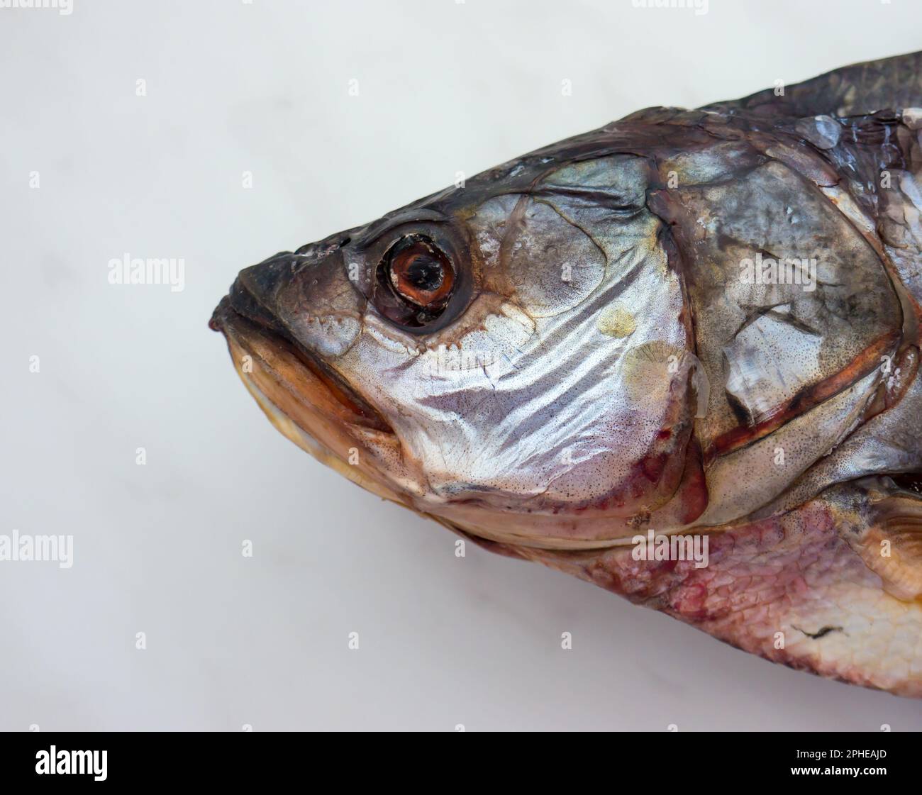 Der getrocknete Fisch auf grauem Hintergrund. Stockfoto