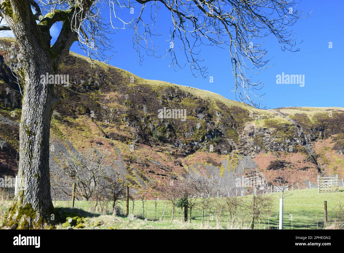 Combe Scar ist ein dominantes geologisches Gletscherland und ein Paradies für einheimische Wildtiere in der Gegend. Der westlichen Yorkshire Dales. Stockfoto