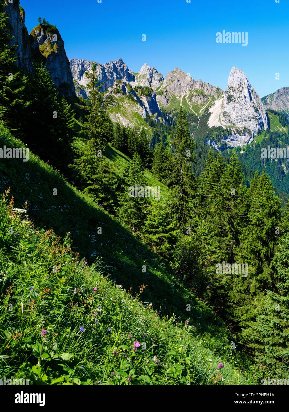 Blick auf Mt. Geiselstein. Naturpark Ammergau Alpen (Ammergauer Alpen) in den nördlichen Kalksteinalpen Oberbayerns. Europa, Deutschland, Bayern Stockfoto
