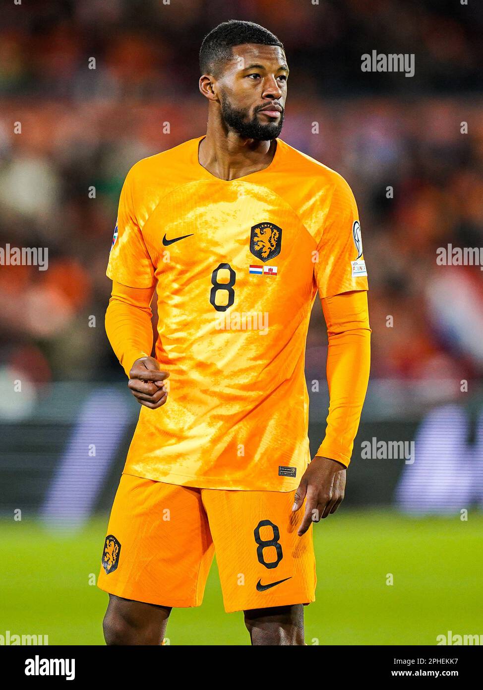 Rotterdam - Georginio Wijnaldum aus Holland während des Spiels ...