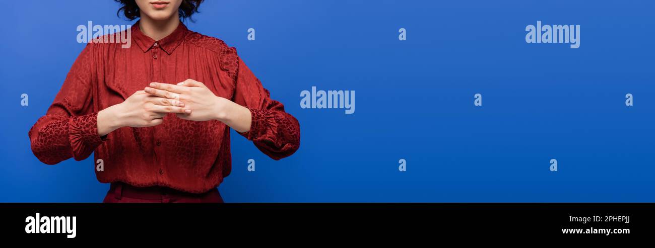 Zugeschnittene Ansicht des Lehrers, die den Namen einer Geste auf der Zeichensprache isoliert auf blau, Banner, Stock-Bild zeigt Stockfoto