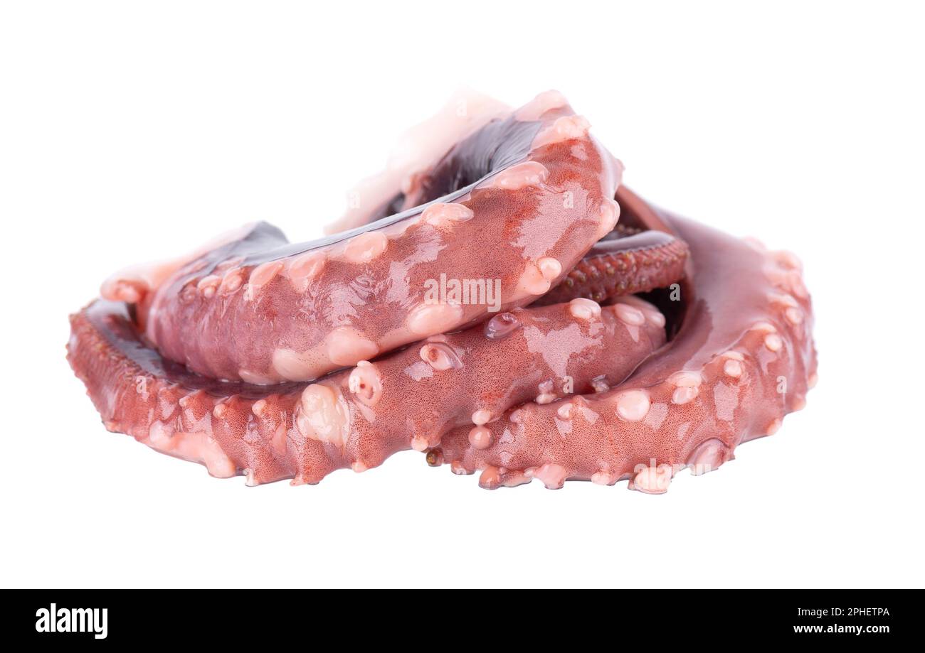 Tintenfischentakel isoliert auf weißem Hintergrund. Frischer roher Riesenkalmar. Stockfoto