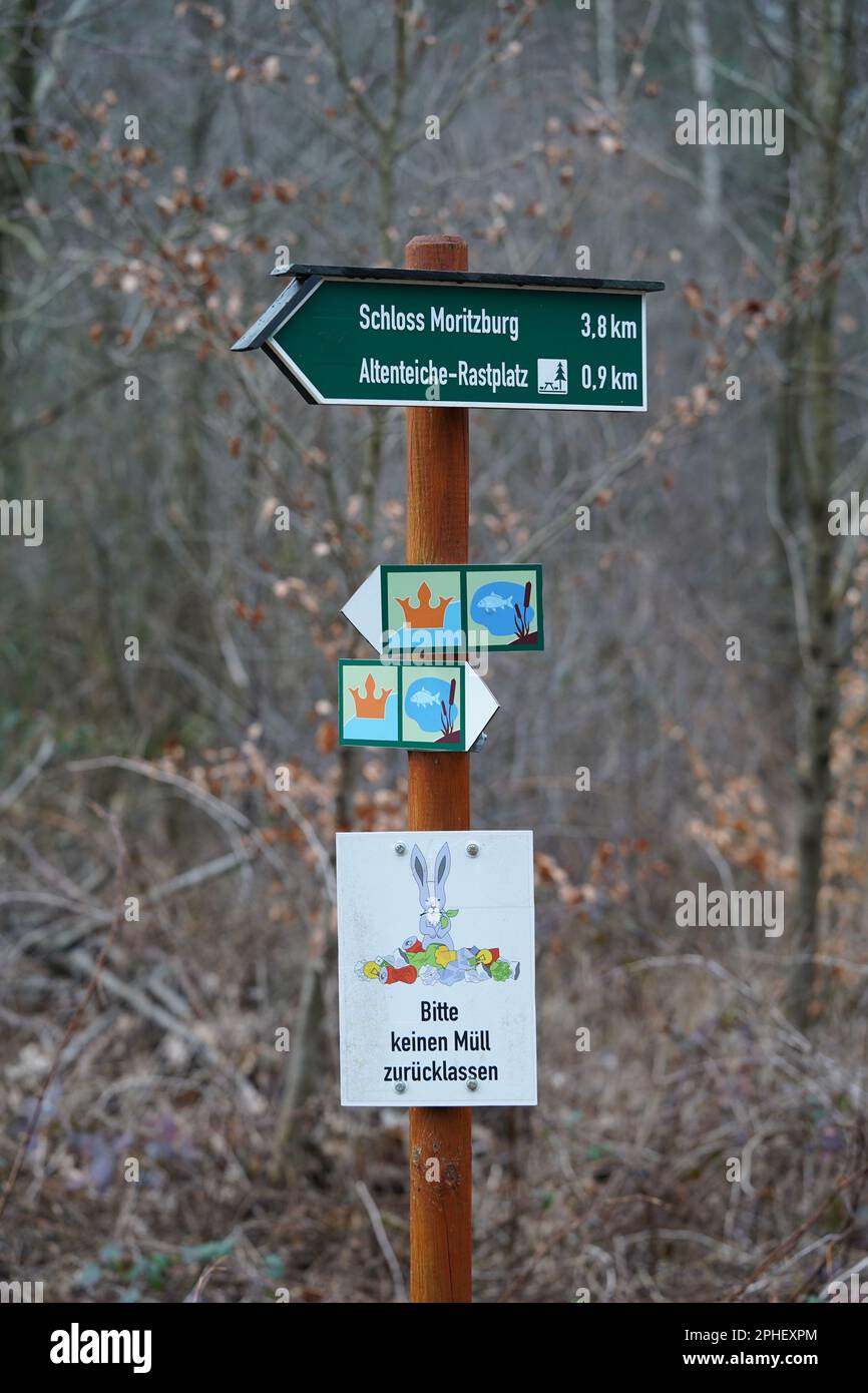 Wegweiser im Wald Moritzburg, Sachsen, Deutschland Stockfoto