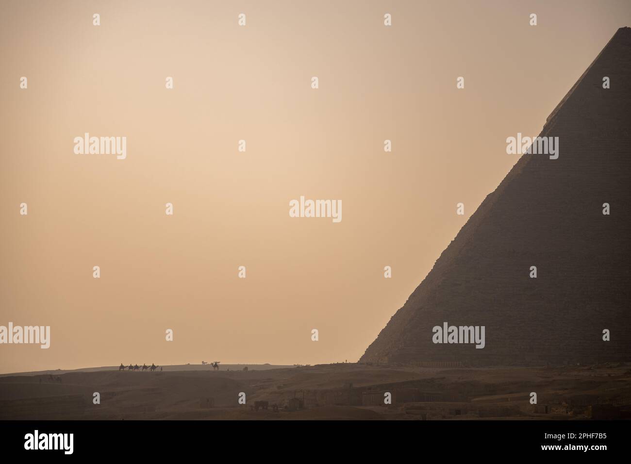 Kamele reiten am fernen Horizont bei Sonnenuntergang in Gizeh, Ägypten Stockfoto
