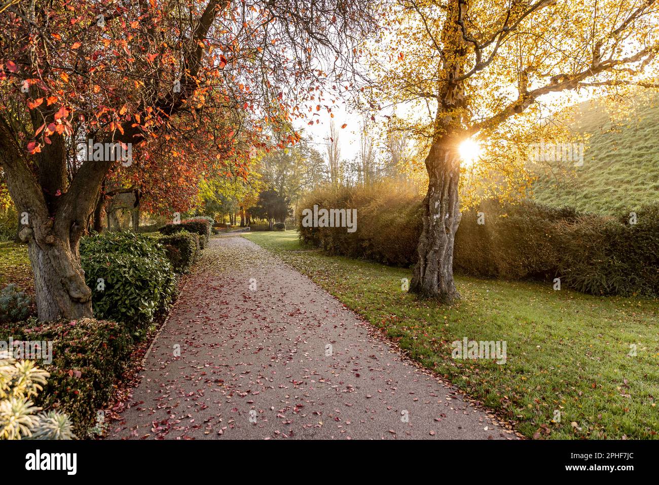Bishop's Stortford, Hertfordshire, England, Großbritannien - Fotografie der Region Stockfoto