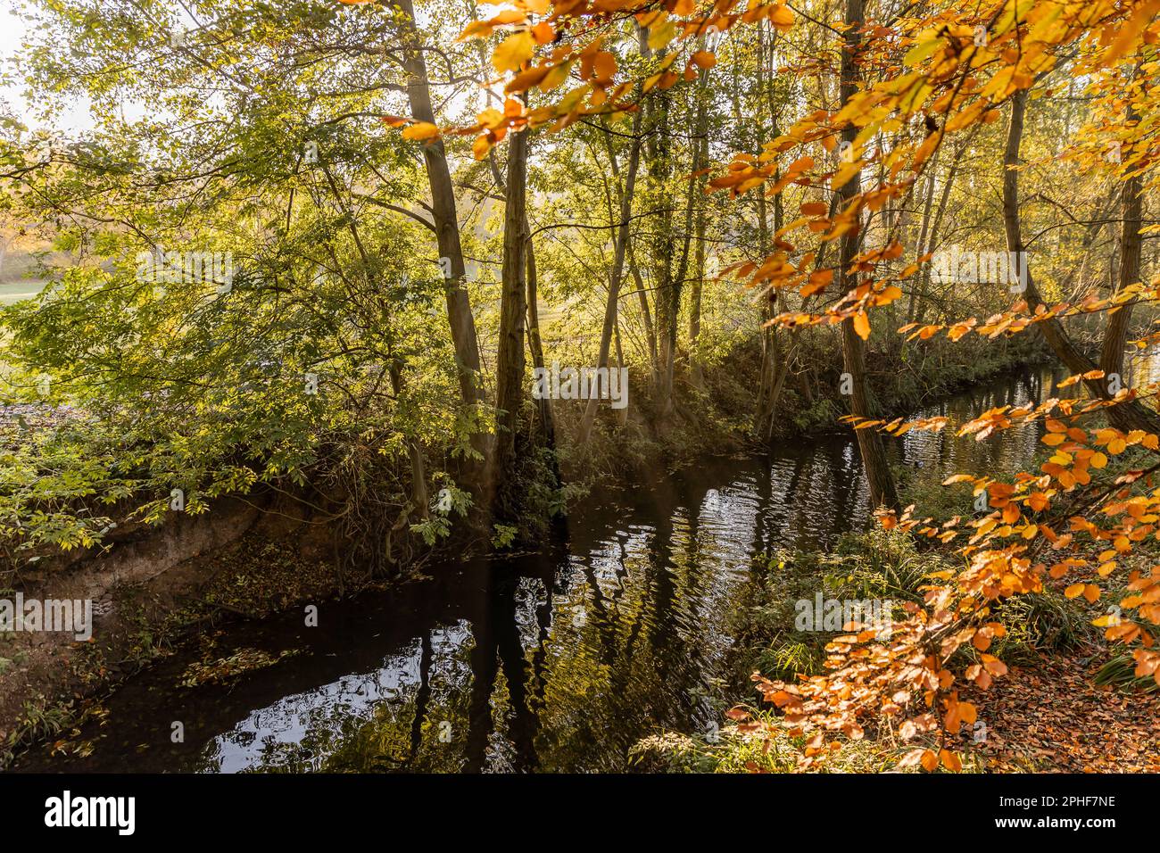 Bishop's Stortford, Hertfordshire, England, Großbritannien - Fotografie der Region Stockfoto