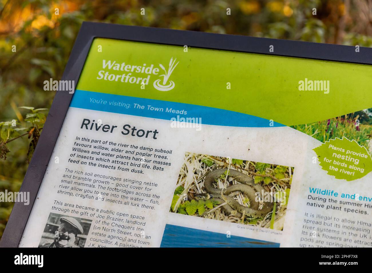 Bishop's Stortford, Hertfordshire, England, Großbritannien - Fotografie der Region Stockfoto