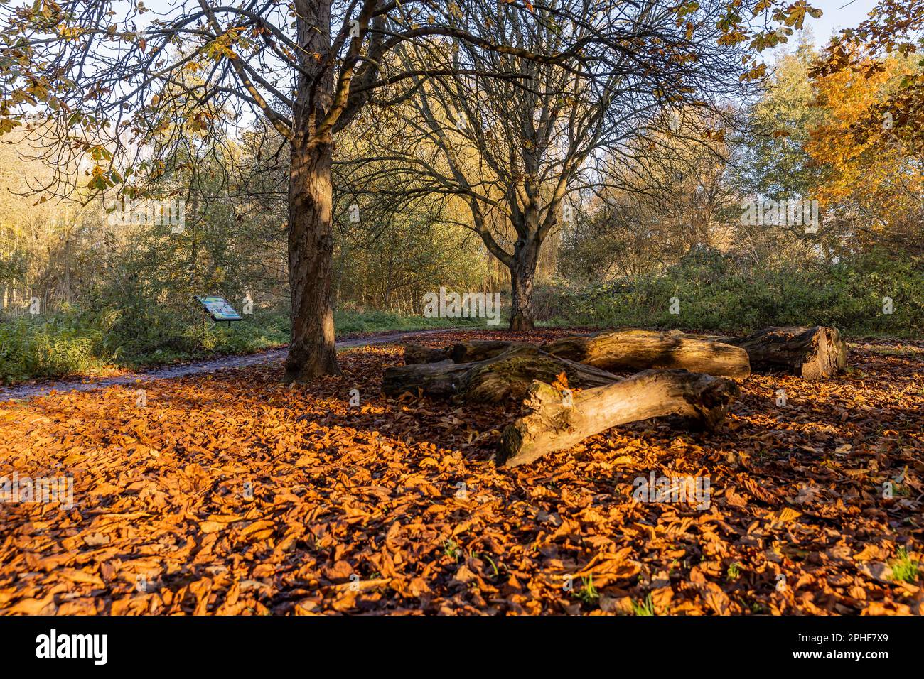Bishop's Stortford, Hertfordshire, England, Großbritannien - Fotografie der Region Stockfoto