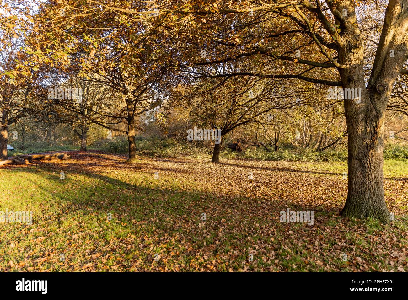 Bishop's Stortford, Hertfordshire, England, Großbritannien - Fotografie der Region Stockfoto