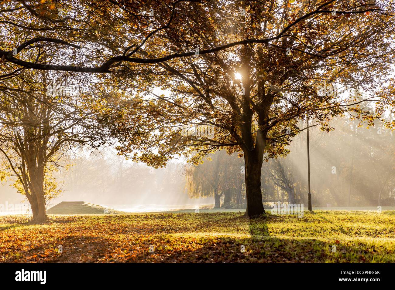 Bishop's Stortford, Hertfordshire, England, Großbritannien - Fotografie der Region Stockfoto