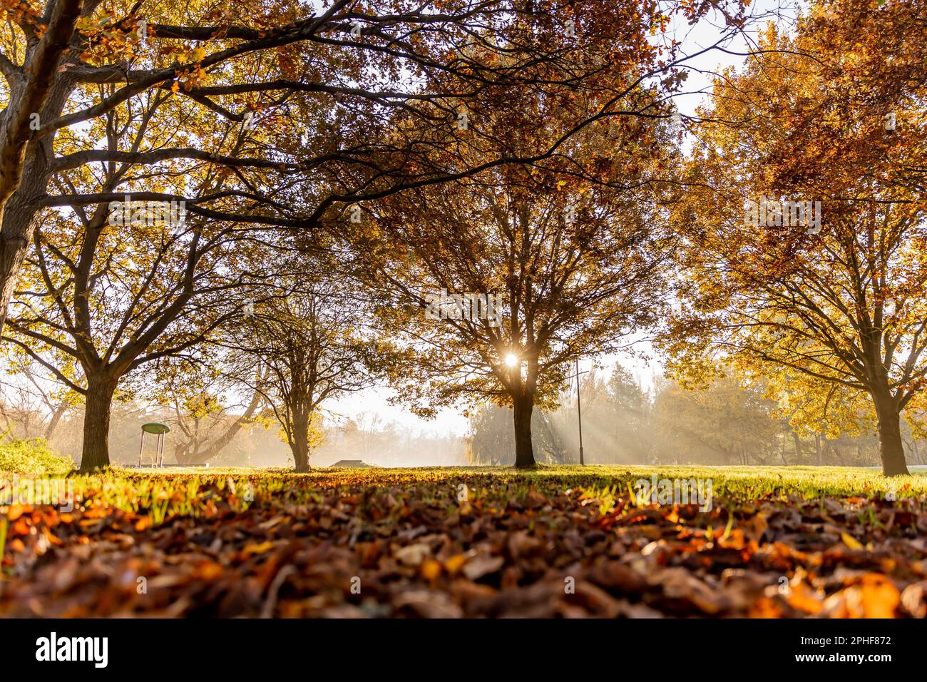 Bishop's Stortford, Hertfordshire, England, Großbritannien - Fotografie der Region Stockfoto