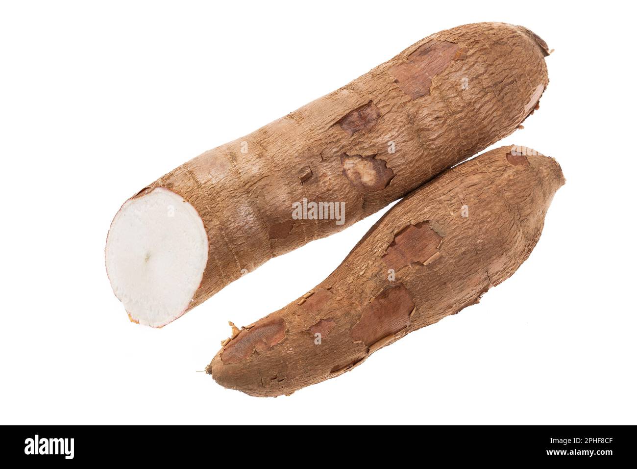 Cassava Raw Tuber – Manihot Esculenta; Auf Weißem Hintergrund Stockfoto