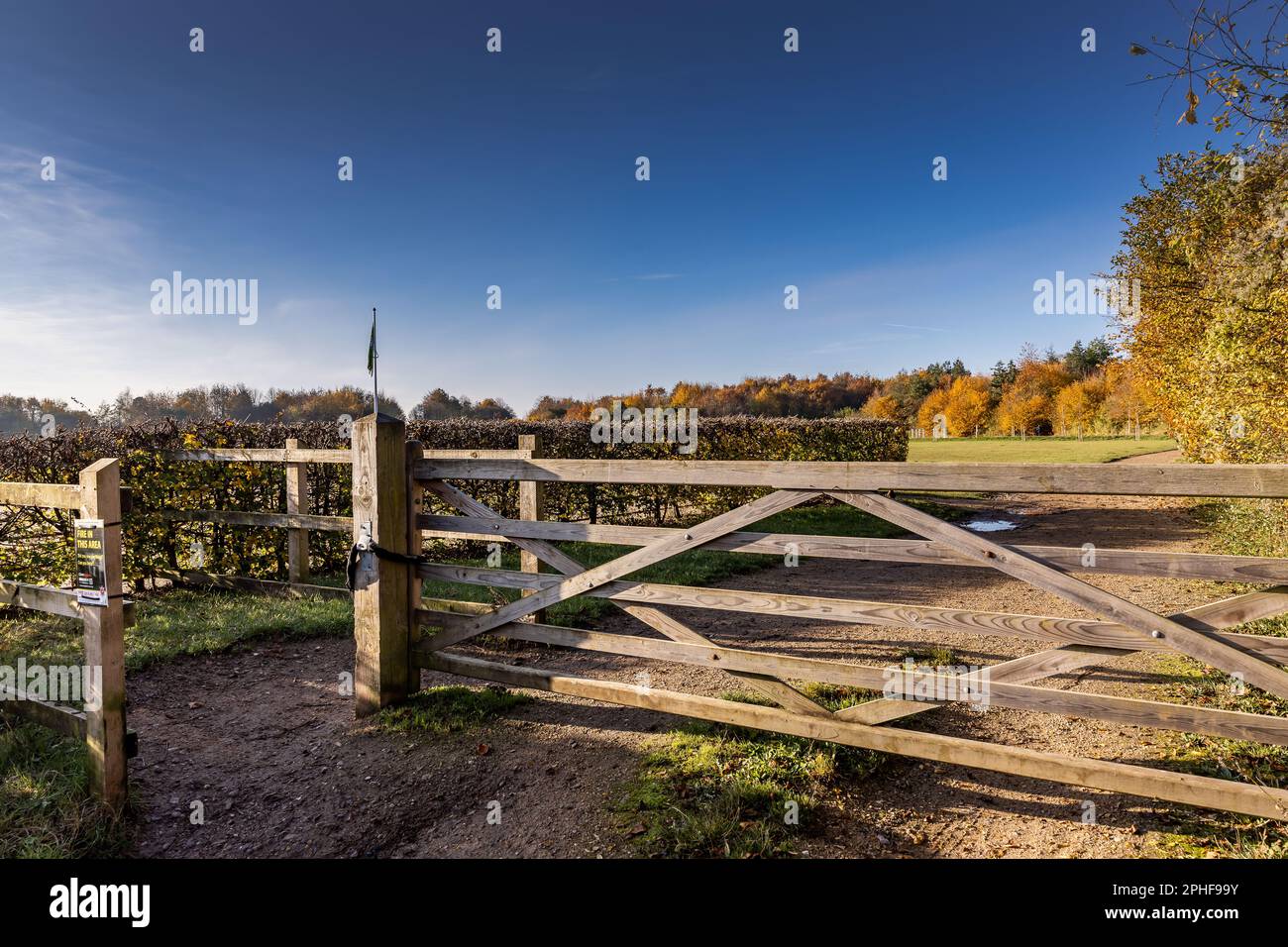 Bishop's Stortford, Hertfordshire, England, Großbritannien - Fotografie der Region Stockfoto