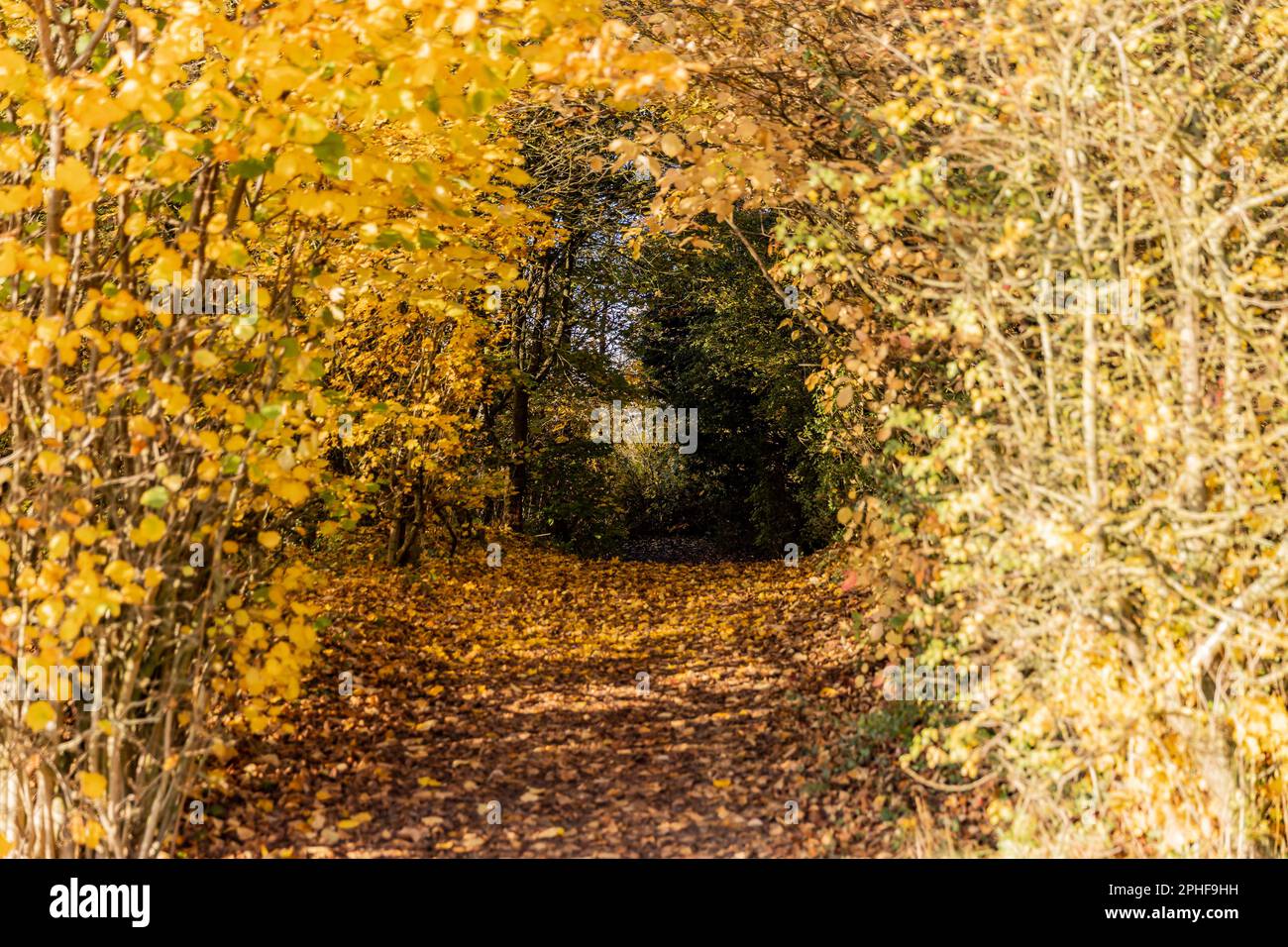 Bishop's Stortford, Hertfordshire, England, Großbritannien - Fotografie der Region Stockfoto