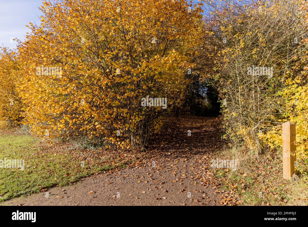 Bishop's Stortford, Hertfordshire, England, Großbritannien - Fotografie der Region Stockfoto