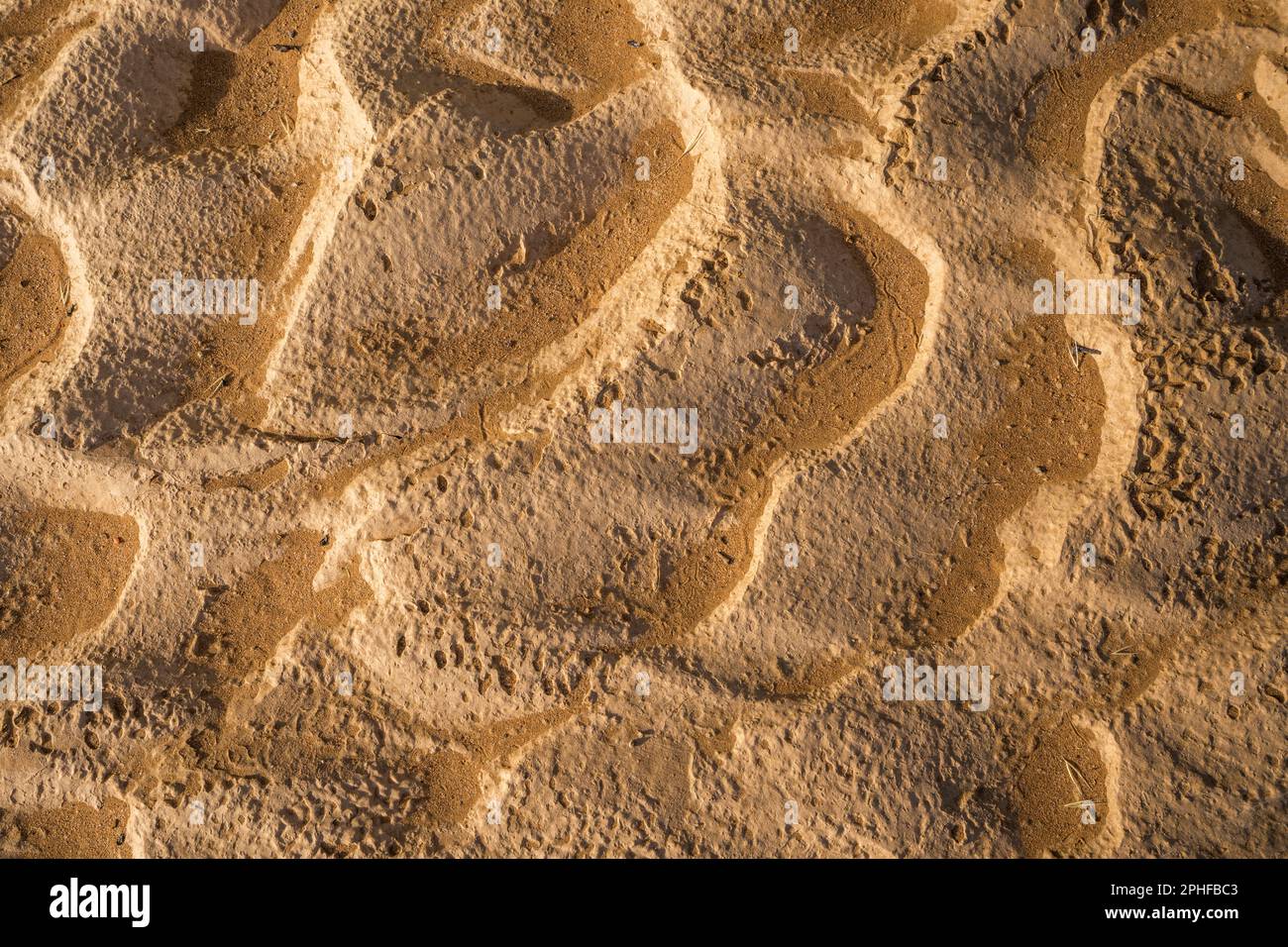 Muster, Wellen aus Wasser im Sand, Boden. Nahaufnahme der Textur. Erdmuster von oben. Damaraland, Namibia, Afrika Stockfoto