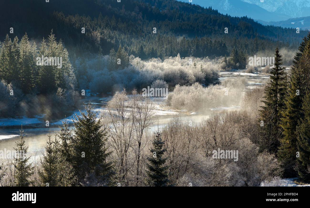 Landschaft im Winter an der Isar zwischen Vorderriss und Wallgau im Gebirge Karwendel. Ein Schutzgebiet und eine der letzten verbleibenden natu Stockfoto