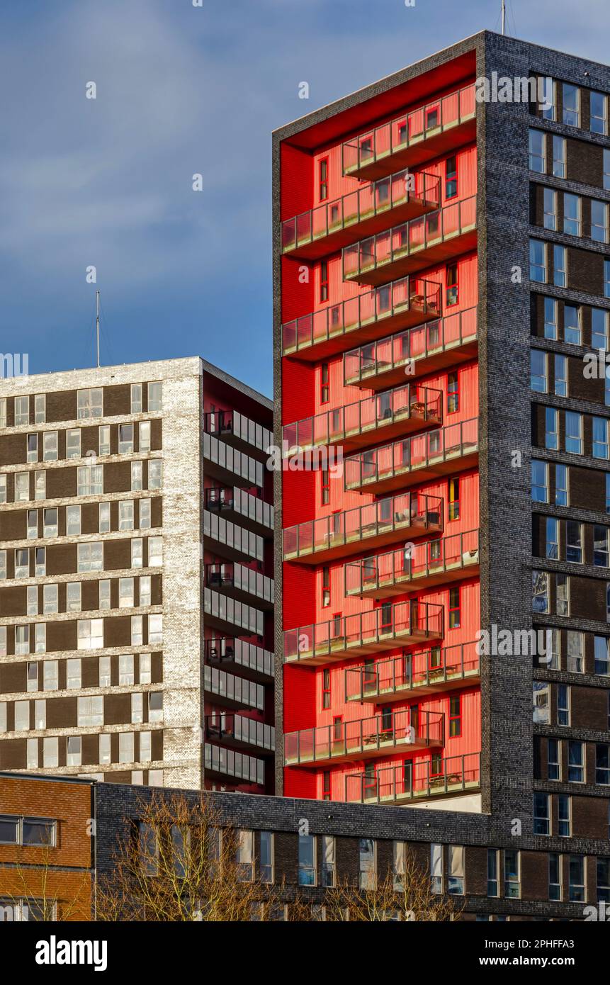 Utrecht, Niederlande, 24. März 2023: Moderne Backsteingebäude auf dem Universitätscampus von Uithof Stockfoto