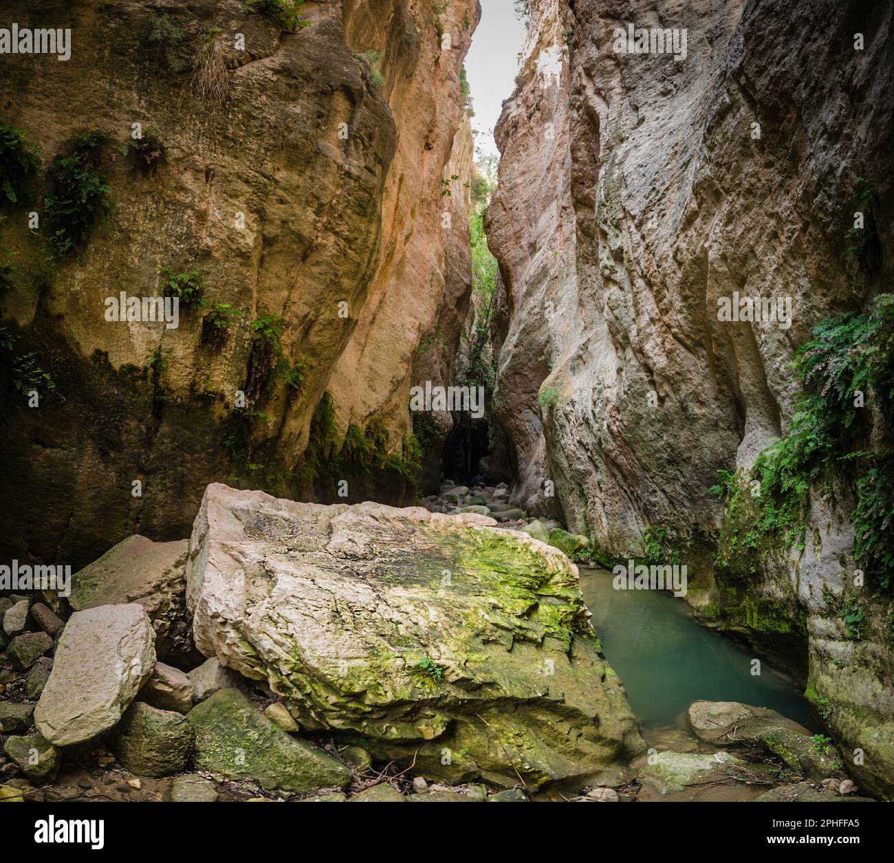 Avakas-Schlucht in der Nähe von Peya, Zypern. Stockfoto