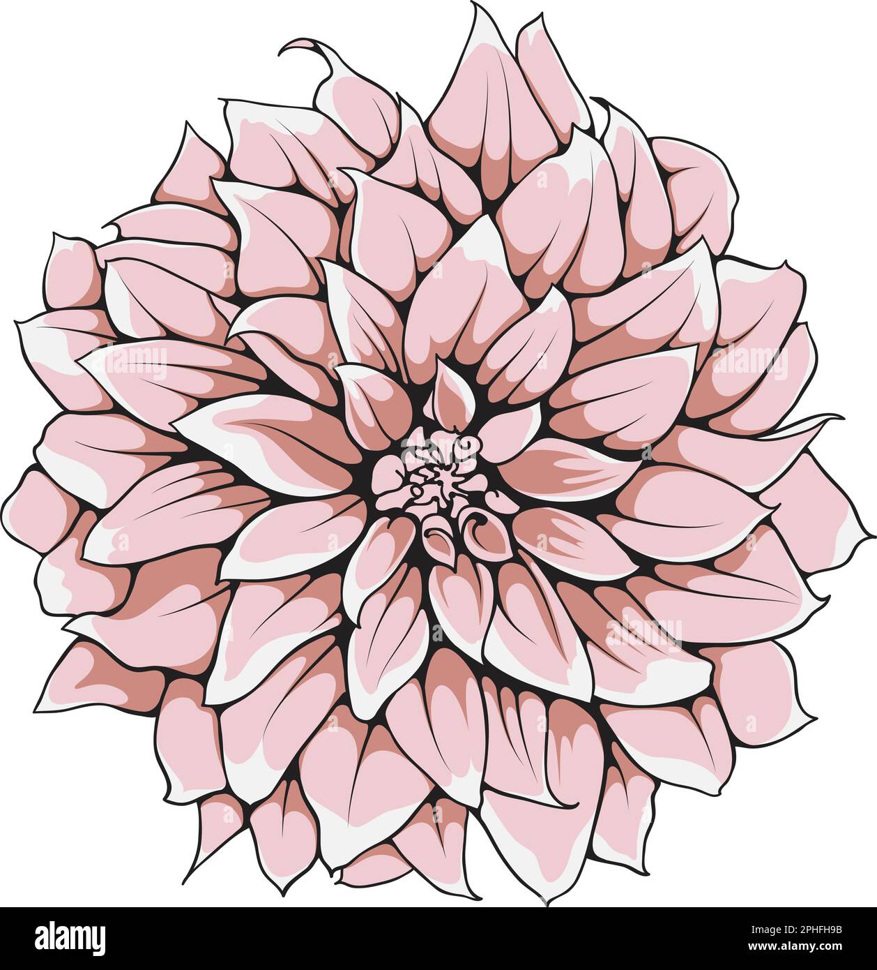 Elegante handgezeichnete Vektorblume aus Zinnia. Stock Vektor