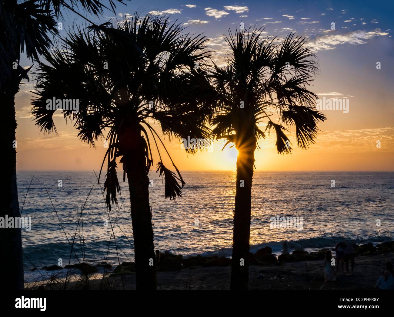 Palmen am Caspersen Beach in Venice, Florida, USA, haben einen orange-blauen Sonnenuntergang über dem Golf von Mexiko Stockfoto