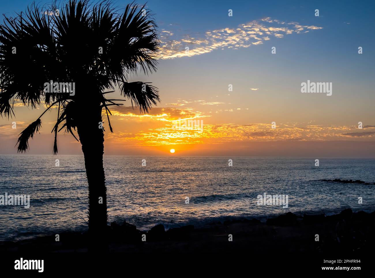 Palmen am Caspersen Beach in Venice, Florida, USA, haben einen orange-blauen Sonnenuntergang über dem Golf von Mexiko Stockfoto