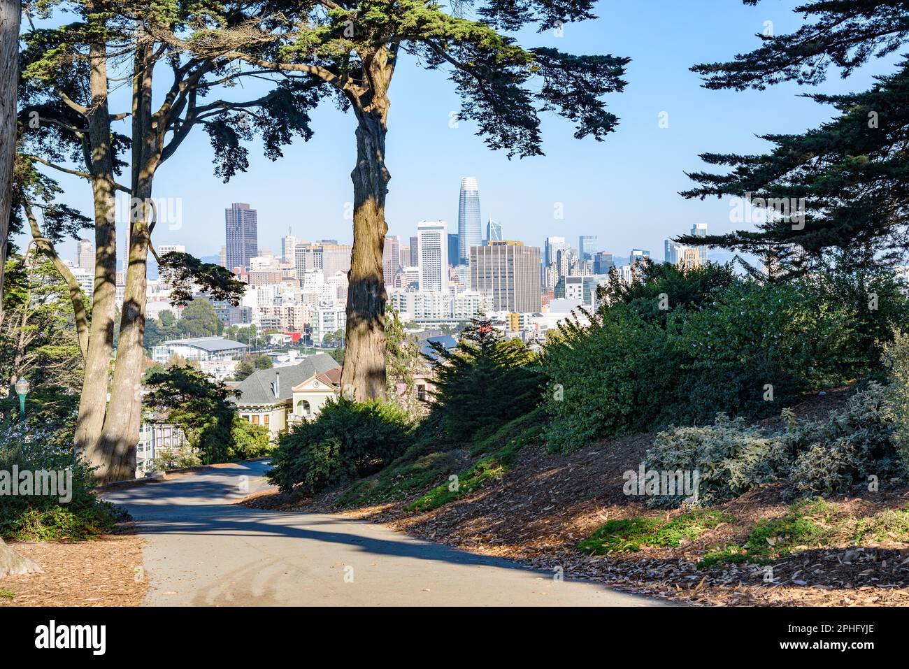 Von einem gewundenen gepflasterten Pfad im öffentlichen Park auf einem Hügel an einem sonnigen Herbsttag aus hat man einen schönen Blick auf die Skyline von San Francisco Stockfoto