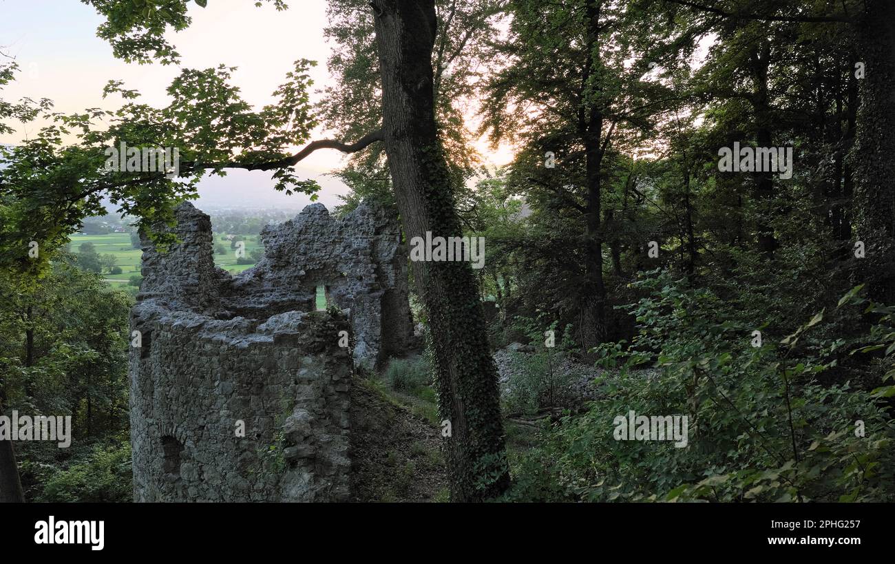 Burgruinen Neuburg, umgeben von Wäldern in der Gemeinde Koblach in Vorarlberg. Stockfoto
