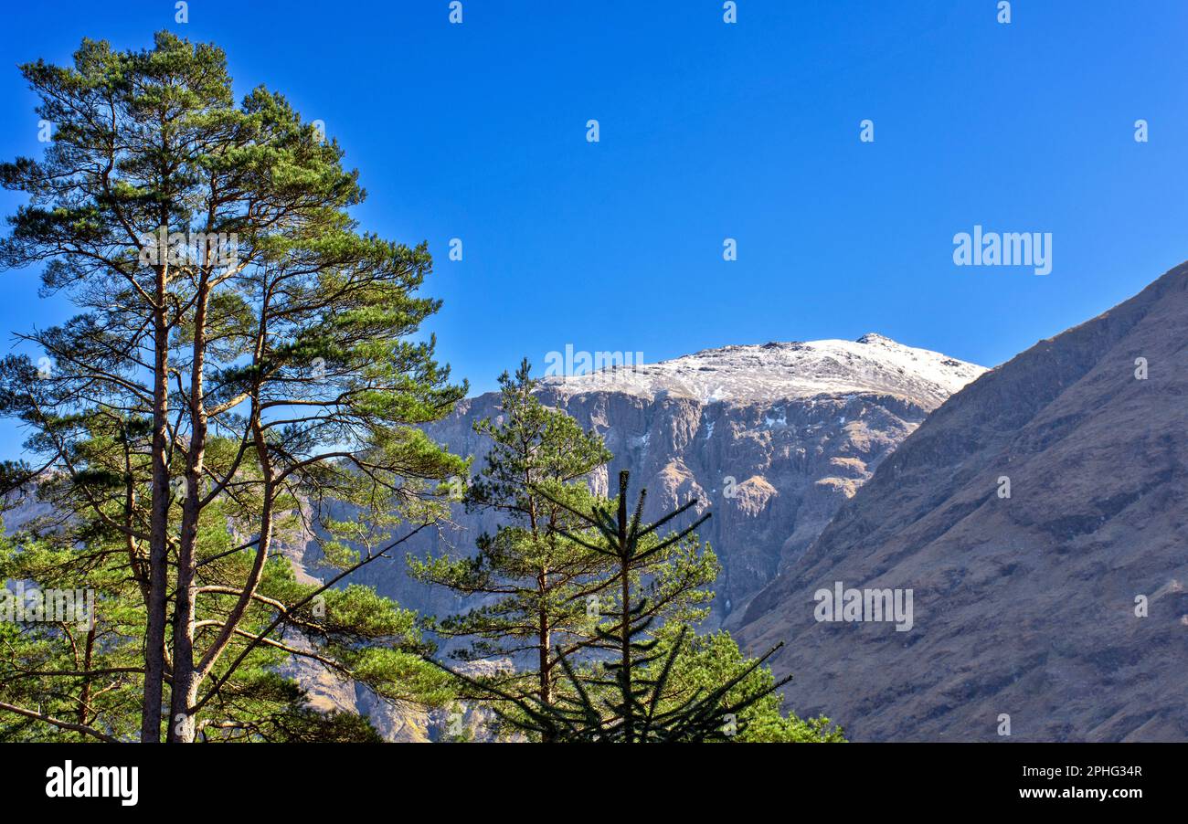 Glen Coe Highland Schottland Kiefern und der schneebedeckte Gipfel von Bidean nam Bian Stockfoto