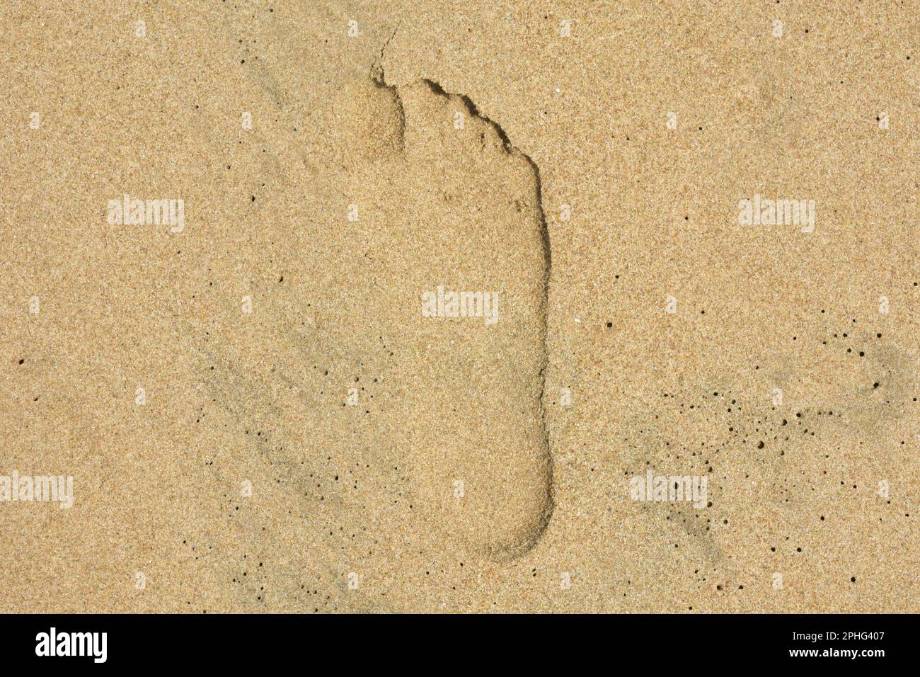 Ein Fußabdruck am Strand. Barfuß in Pondicherry aufgenommen. Stockfoto