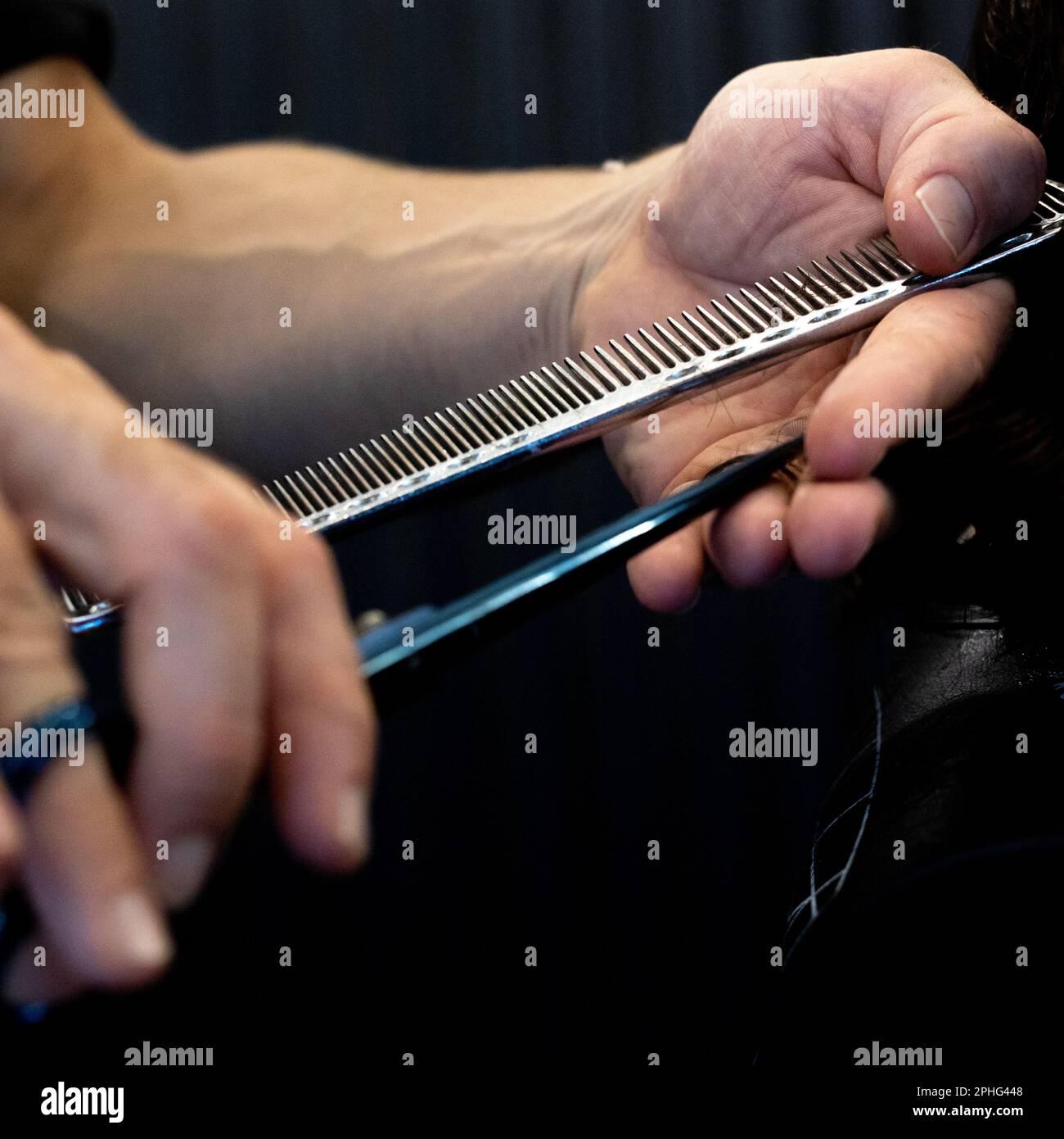 Der Friseur schneidet die Haare der Dame mit einer silbernen Schere und einem Kamm. Geduld. Nahaufnahme. Stockfoto